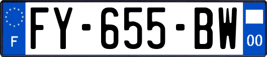 FY-655-BW