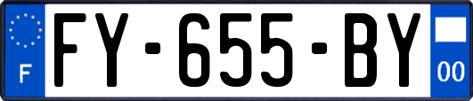 FY-655-BY