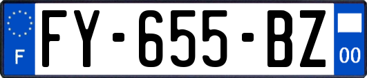 FY-655-BZ