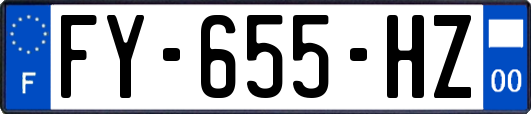 FY-655-HZ