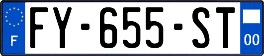 FY-655-ST