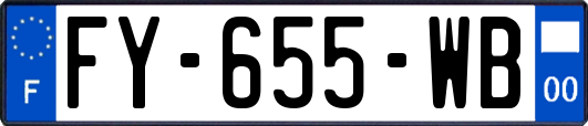 FY-655-WB