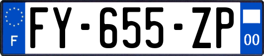 FY-655-ZP