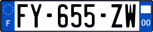 FY-655-ZW