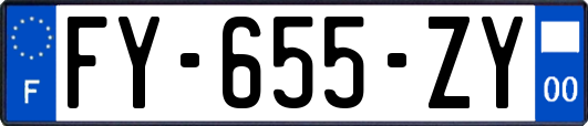 FY-655-ZY