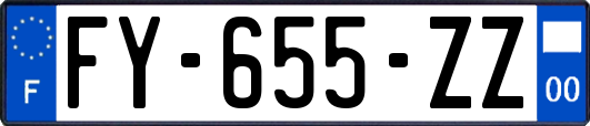 FY-655-ZZ