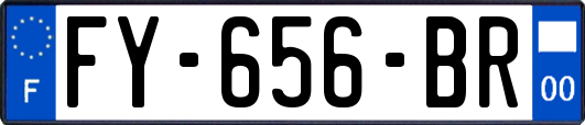 FY-656-BR