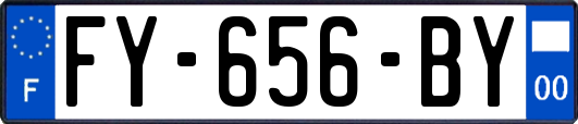 FY-656-BY