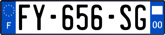 FY-656-SG