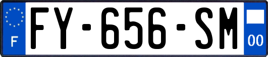 FY-656-SM