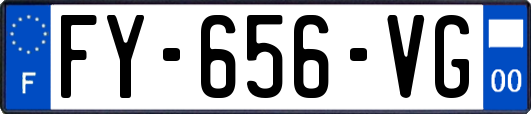 FY-656-VG
