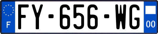 FY-656-WG