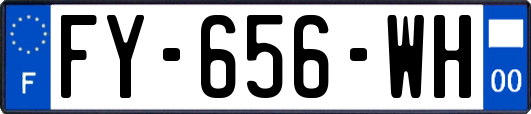 FY-656-WH