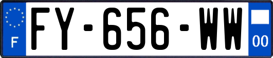 FY-656-WW