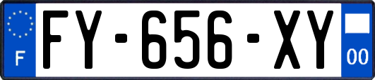 FY-656-XY