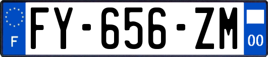 FY-656-ZM