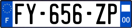 FY-656-ZP