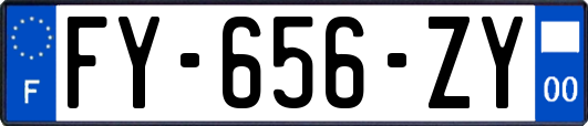 FY-656-ZY