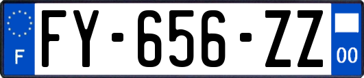FY-656-ZZ
