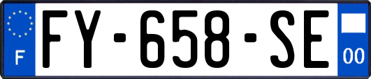 FY-658-SE