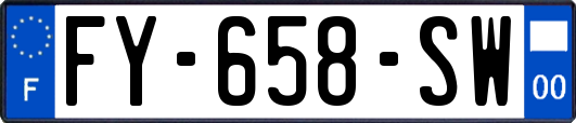 FY-658-SW