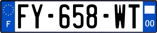 FY-658-WT