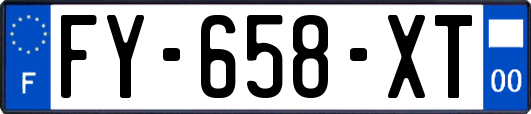 FY-658-XT