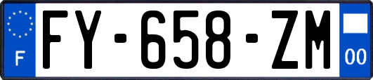 FY-658-ZM