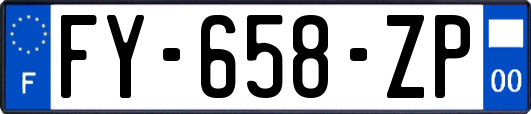 FY-658-ZP