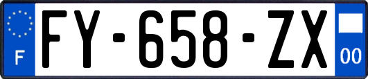 FY-658-ZX
