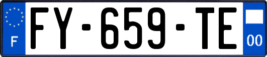 FY-659-TE
