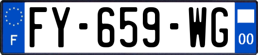 FY-659-WG