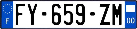 FY-659-ZM