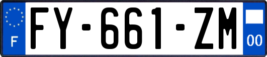 FY-661-ZM