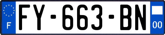 FY-663-BN