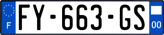 FY-663-GS