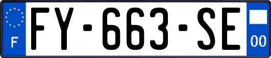 FY-663-SE