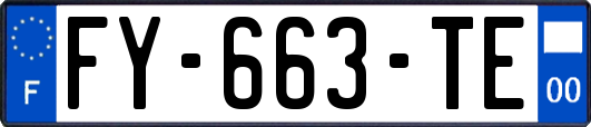 FY-663-TE
