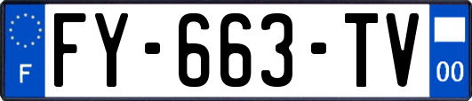 FY-663-TV
