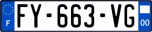 FY-663-VG