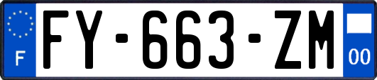 FY-663-ZM
