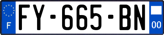 FY-665-BN