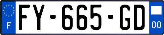 FY-665-GD