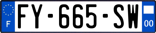 FY-665-SW