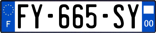 FY-665-SY