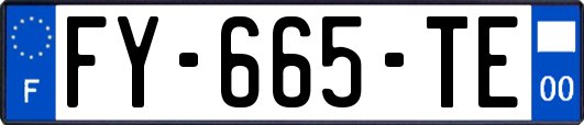 FY-665-TE