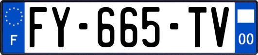FY-665-TV