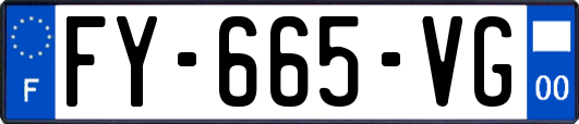 FY-665-VG