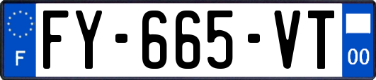FY-665-VT