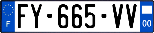 FY-665-VV